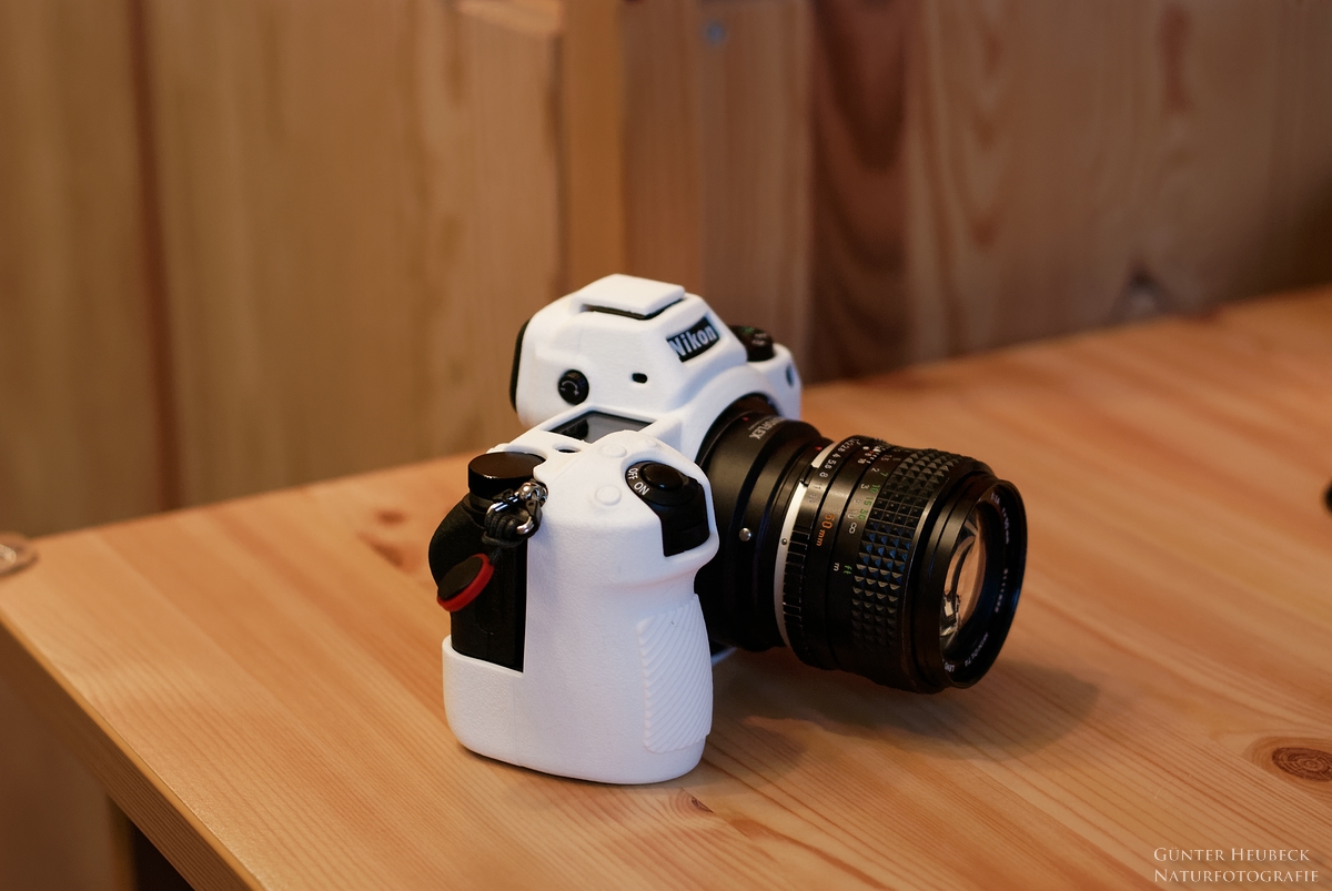 comp_DSC_1579_DxO  .jpg