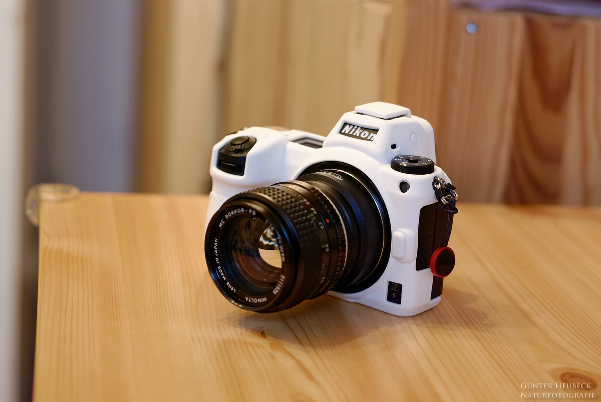 comp_DSC_1581_DxO  .jpg