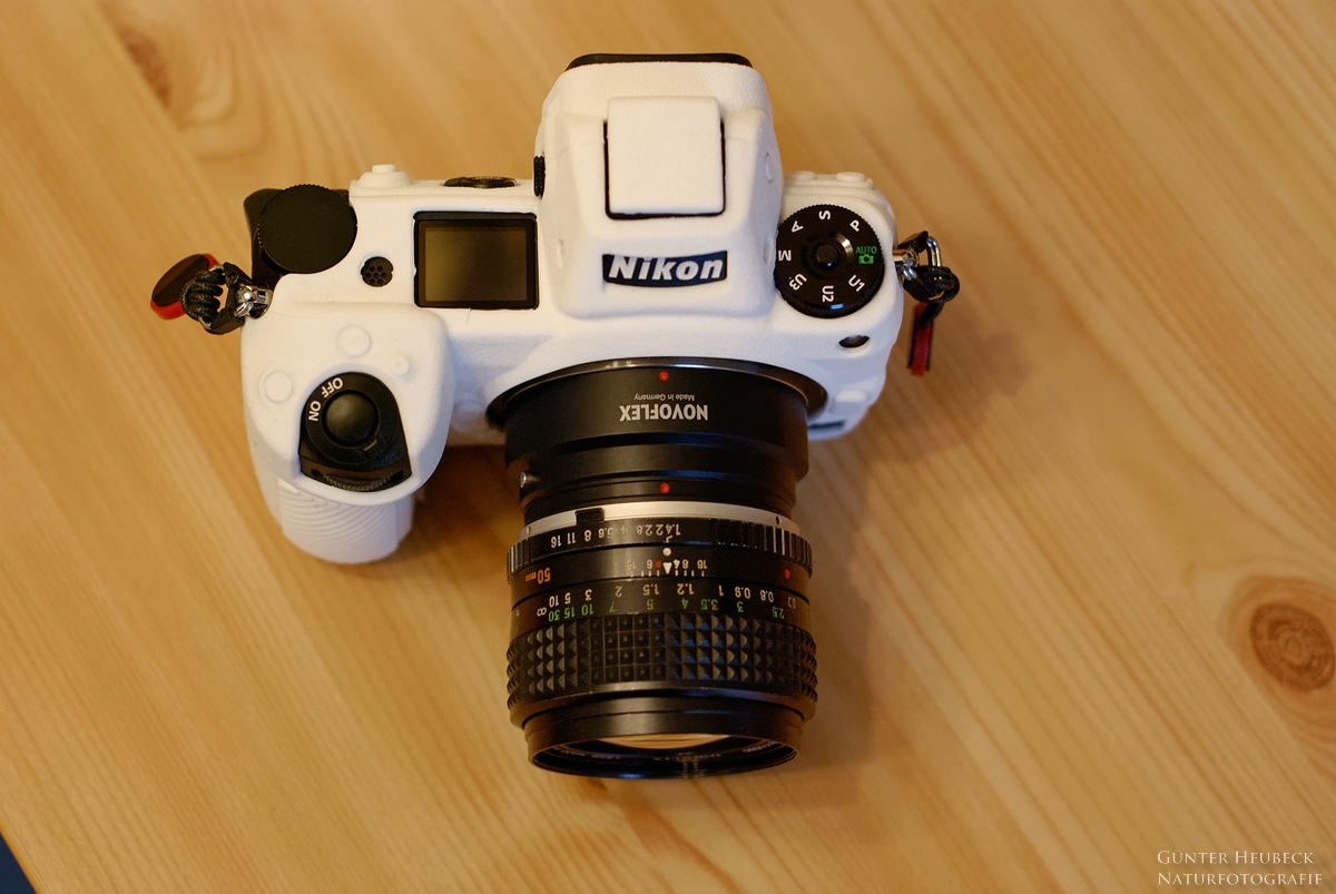 comp_DSC_1582_DxO  .jpg