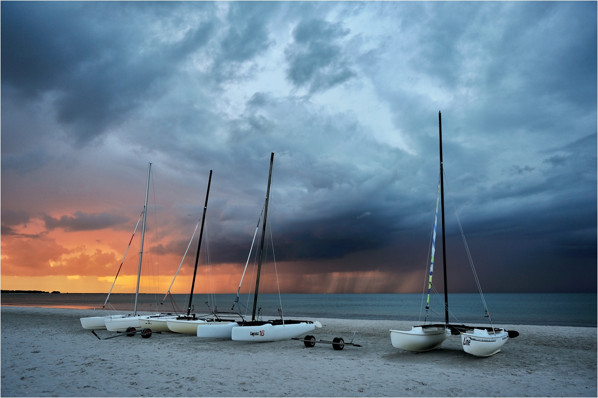 comp_DSC_1852 .jpg