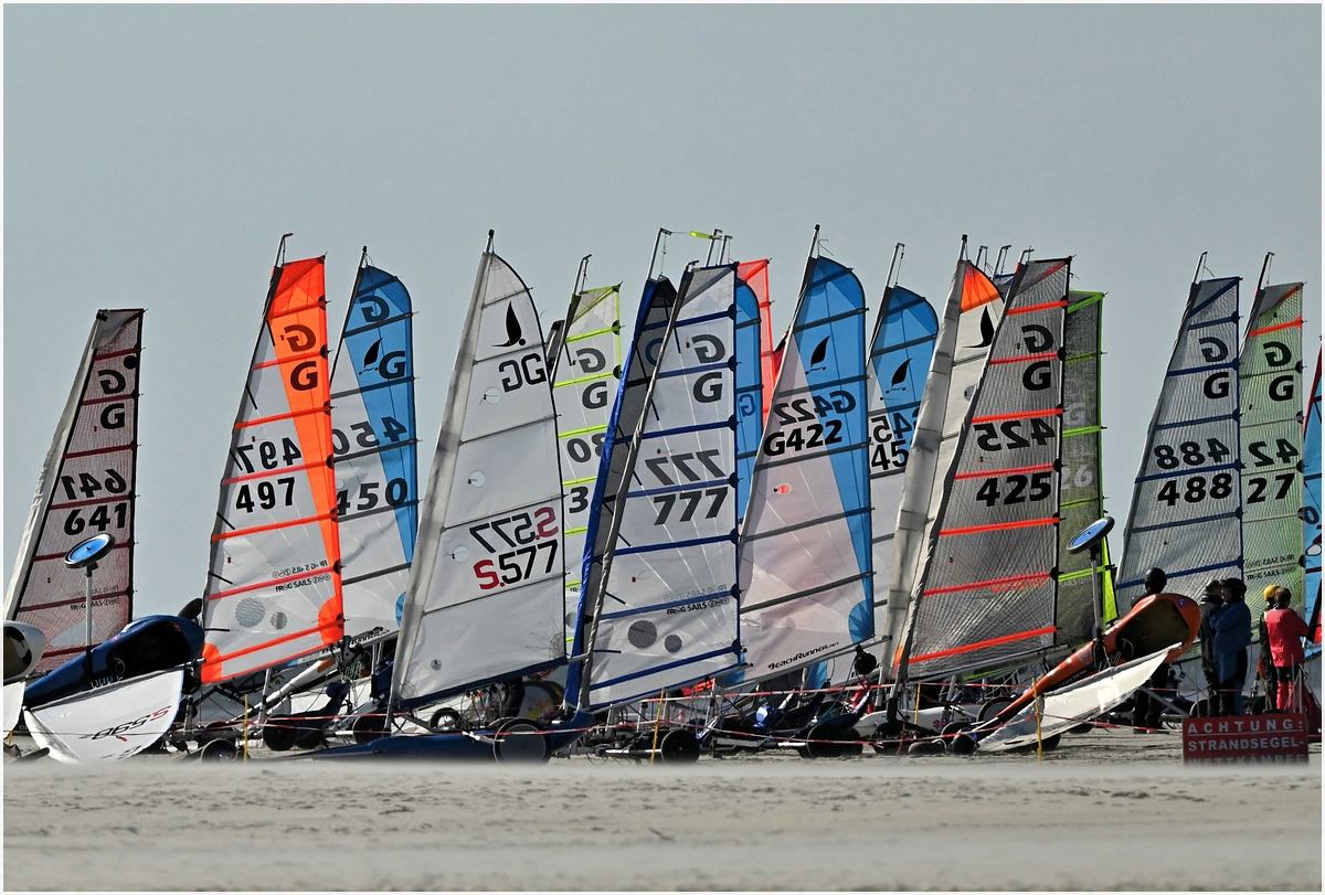 comp_DSC_2729.jpg