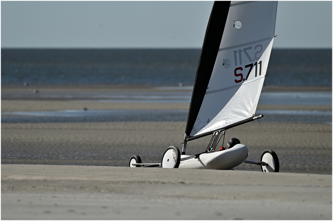 comp_DSC_2732.jpg