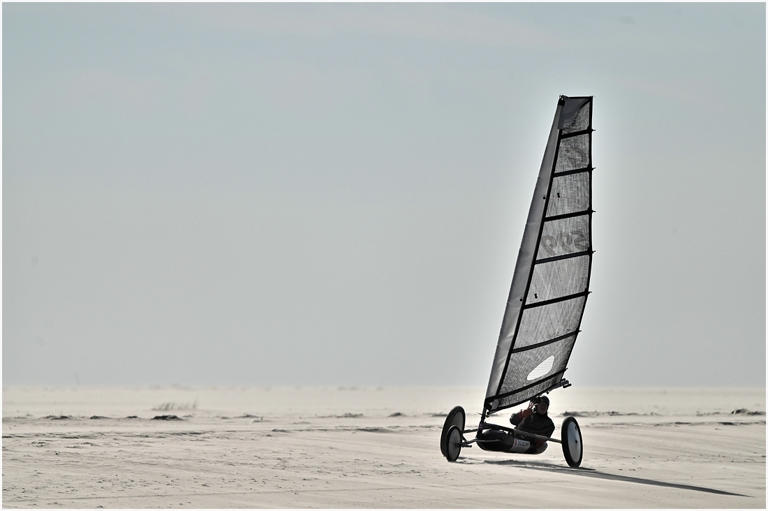 comp_DSC_2758_01.jpg