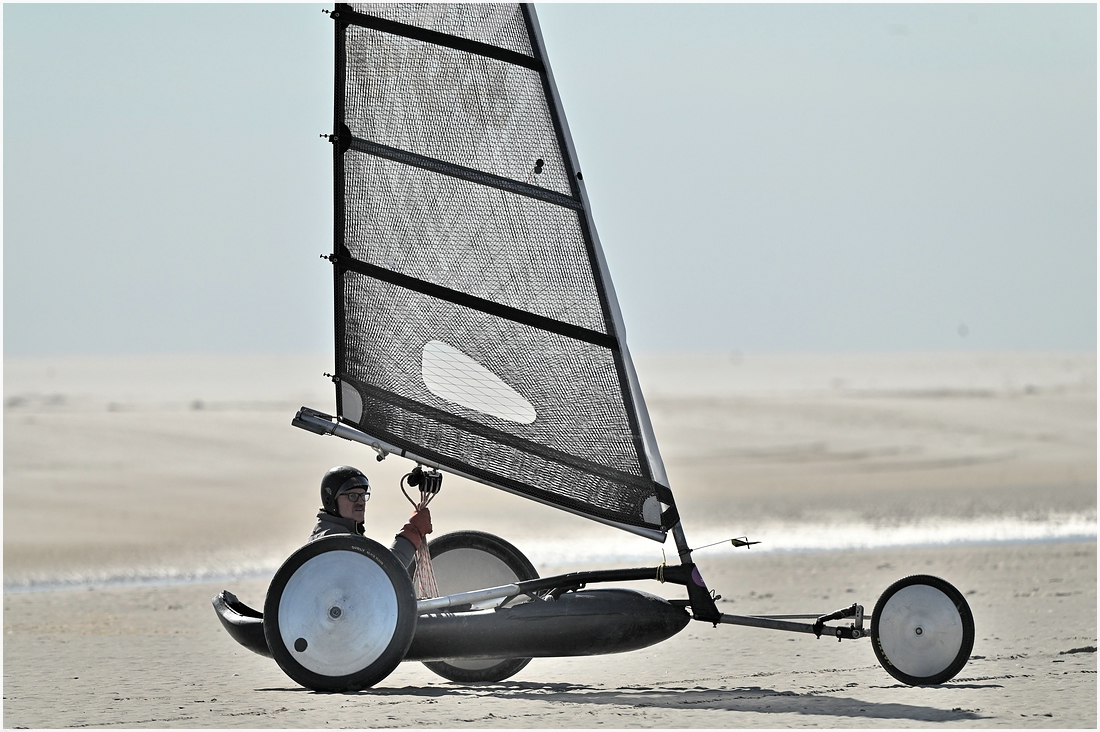 comp_DSC_2759.jpg
