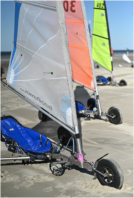 comp_DSC_2774.jpg