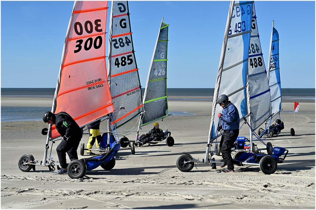 comp_DSC_2782.jpg