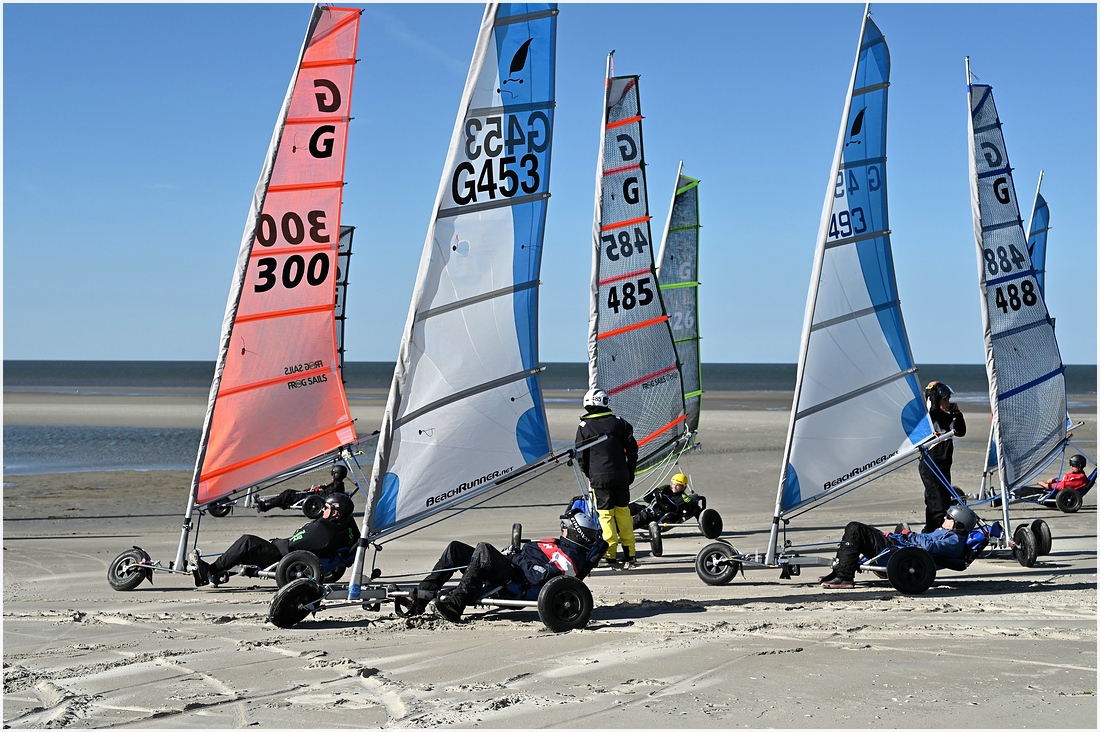 comp_DSC_2783.jpg