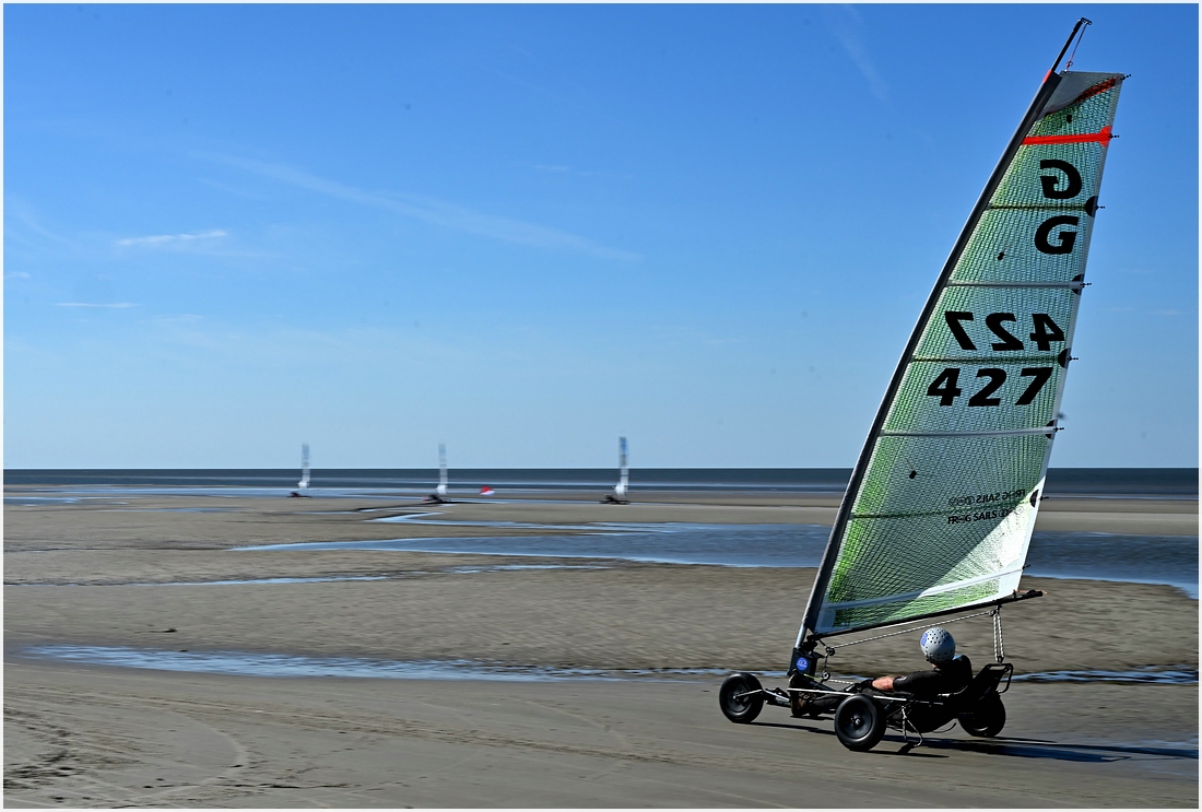 comp_DSC_2809.jpg