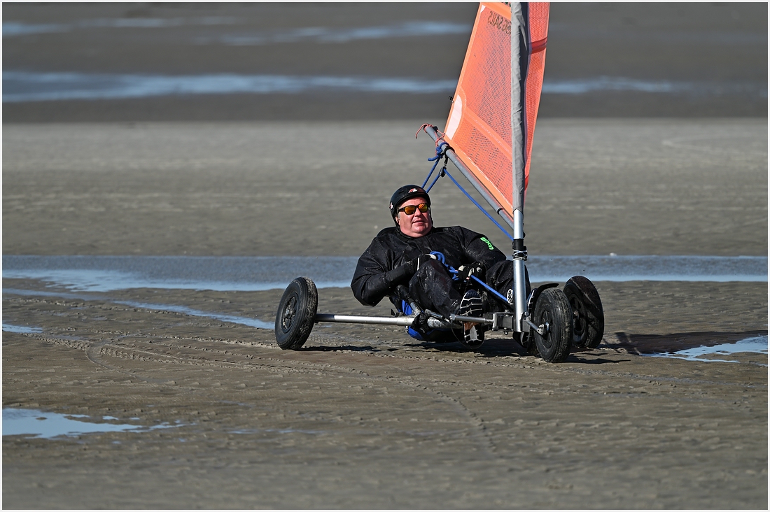 comp_DSC_2815.jpg