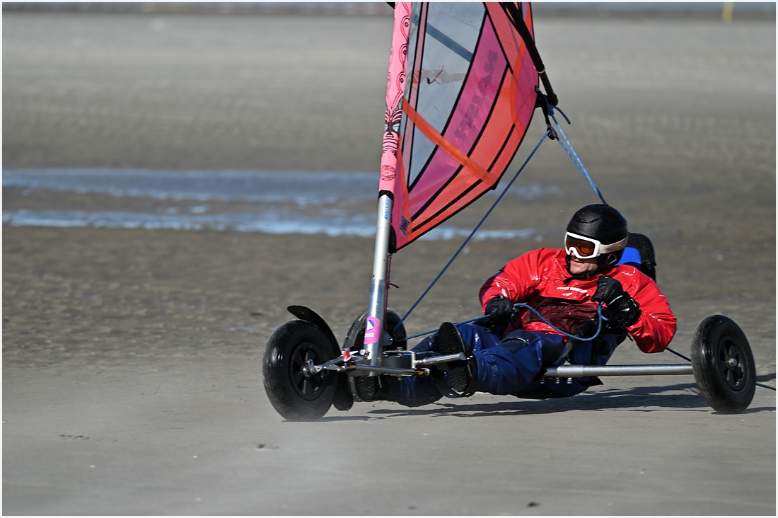comp_DSC_2863.jpg