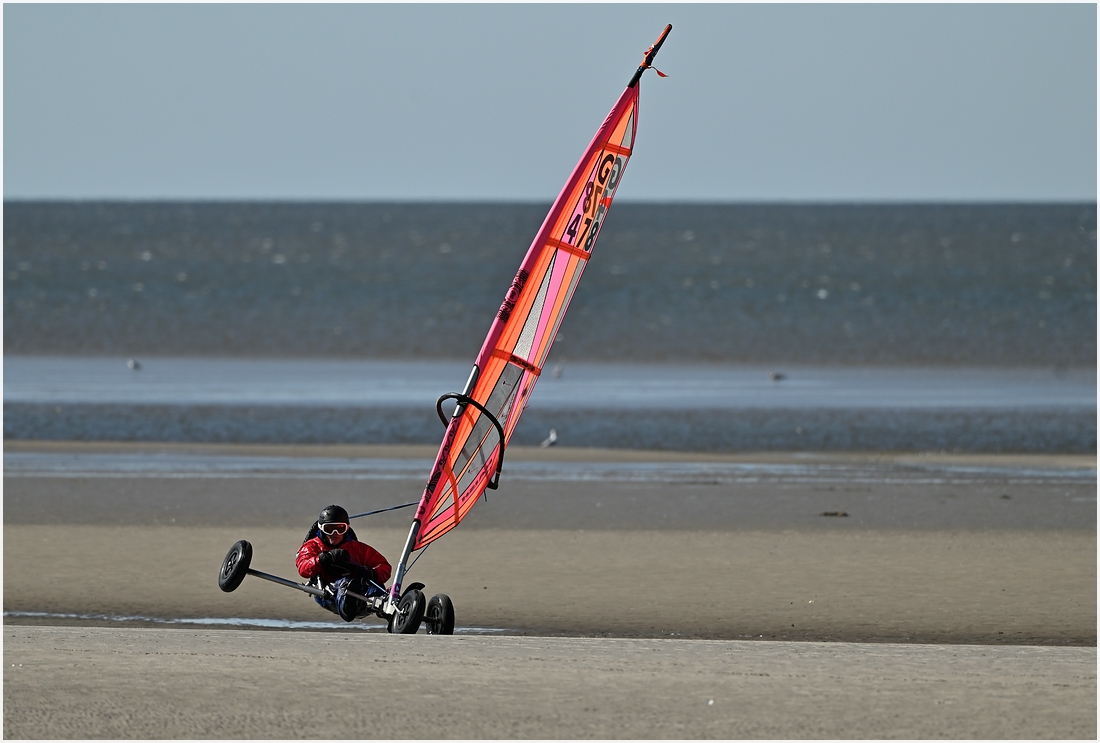 comp_DSC_2878.jpg