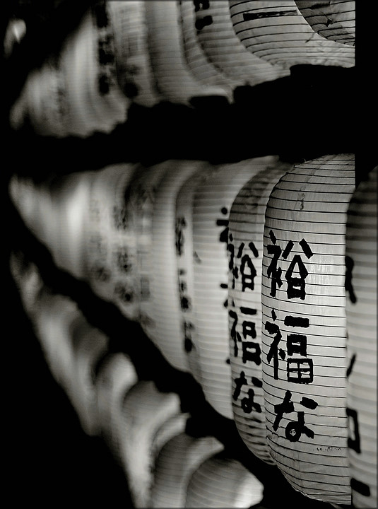 comp_DSC_2908.jpg