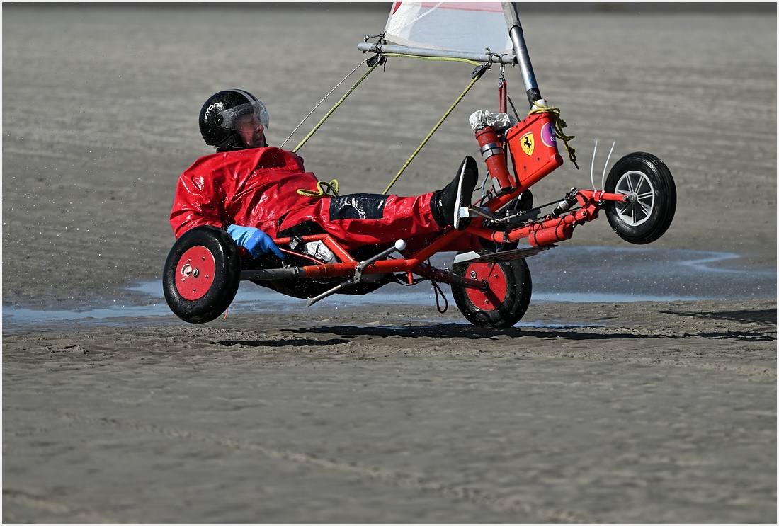 comp_DSC_2921.jpg
