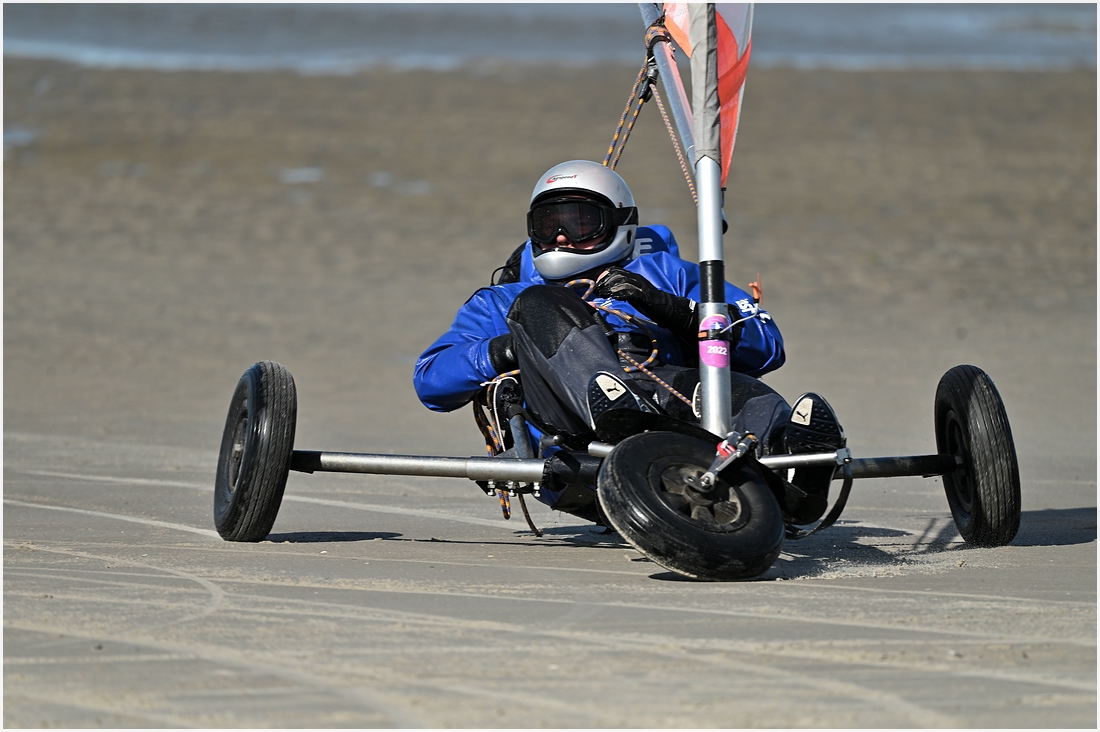 comp_DSC_2938.jpg