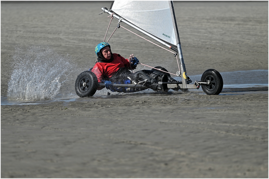 comp_DSC_2988.jpg