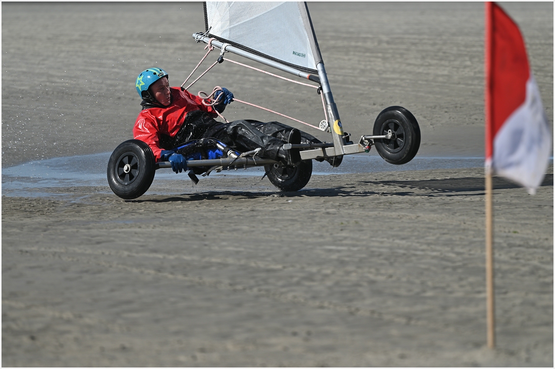 comp_DSC_2989.jpg