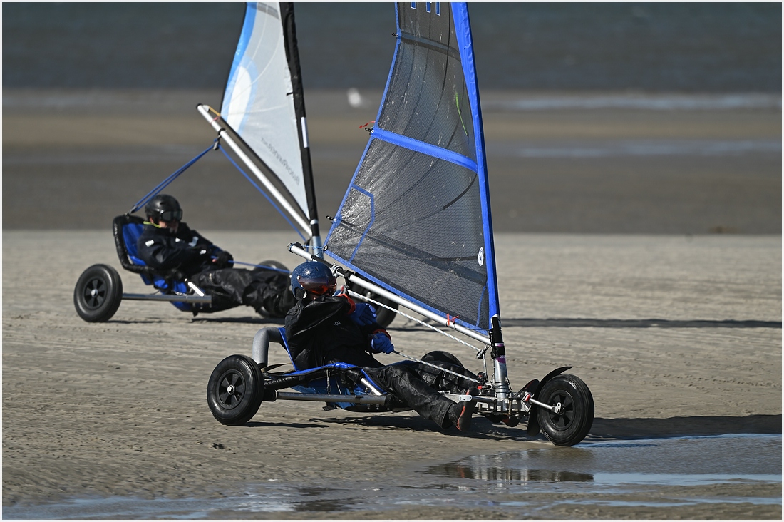 comp_DSC_2996.jpg