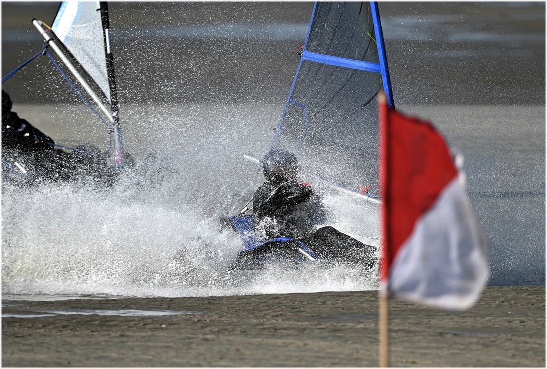 comp_DSC_2998.jpg