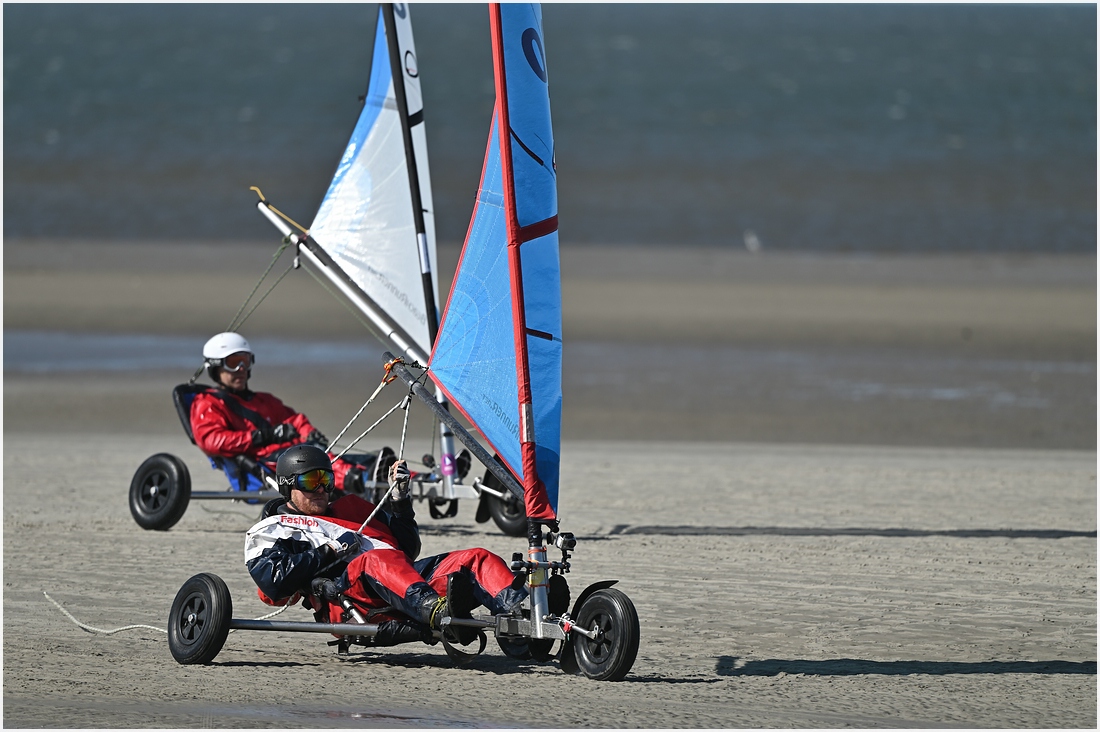 comp_DSC_3010.jpg