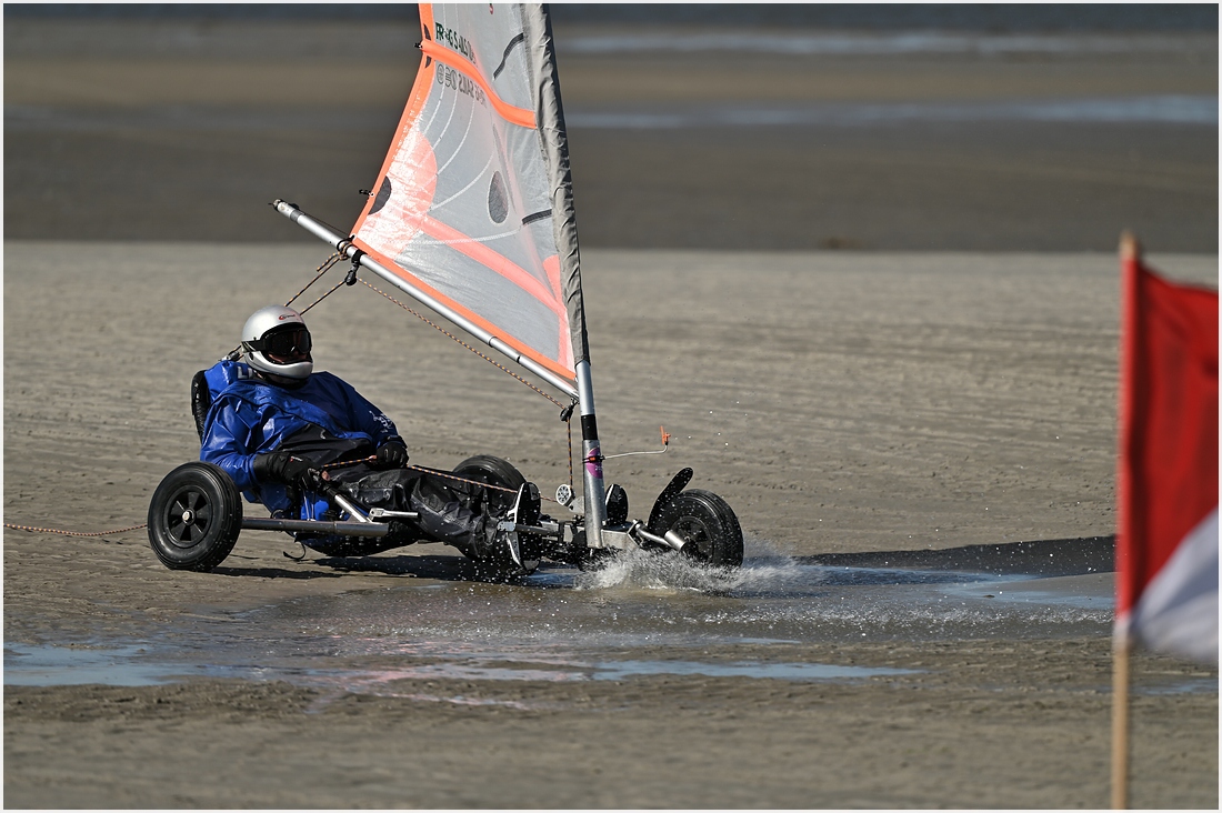 comp_DSC_3101.jpg