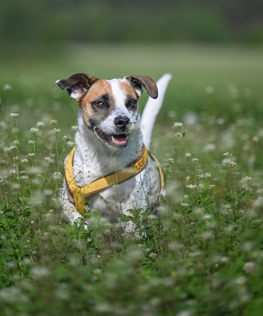 comp_DSC_3754.jpg
