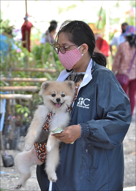 comp_DSC_4120.jpg