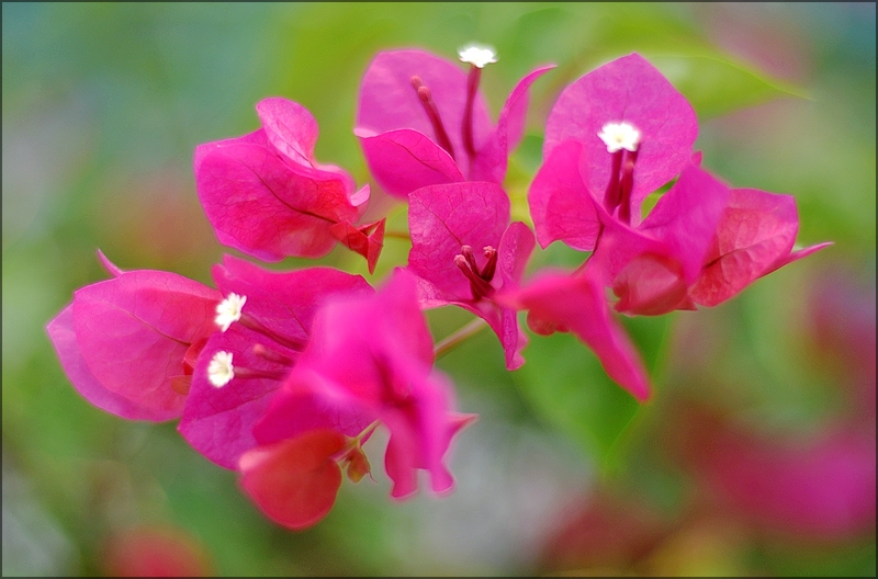 comp_DSC_4502_00001.jpg