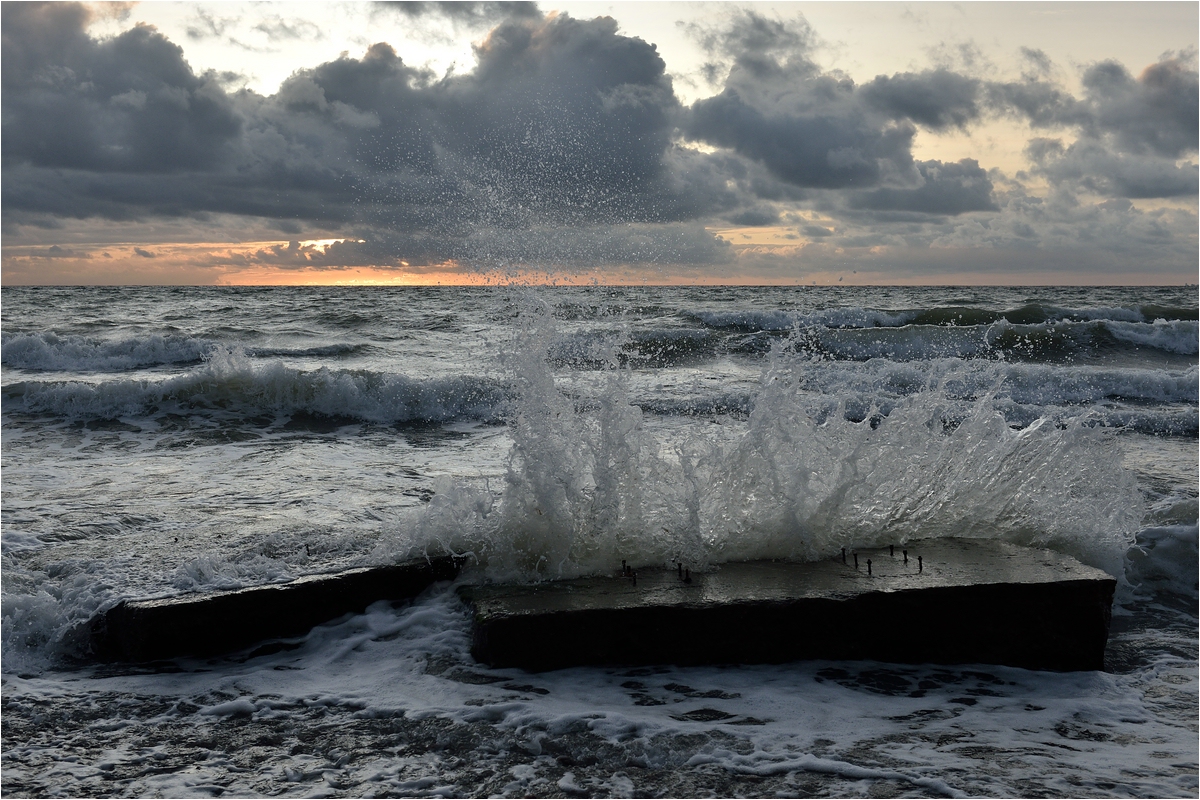 comp_DSC_5309.jpg