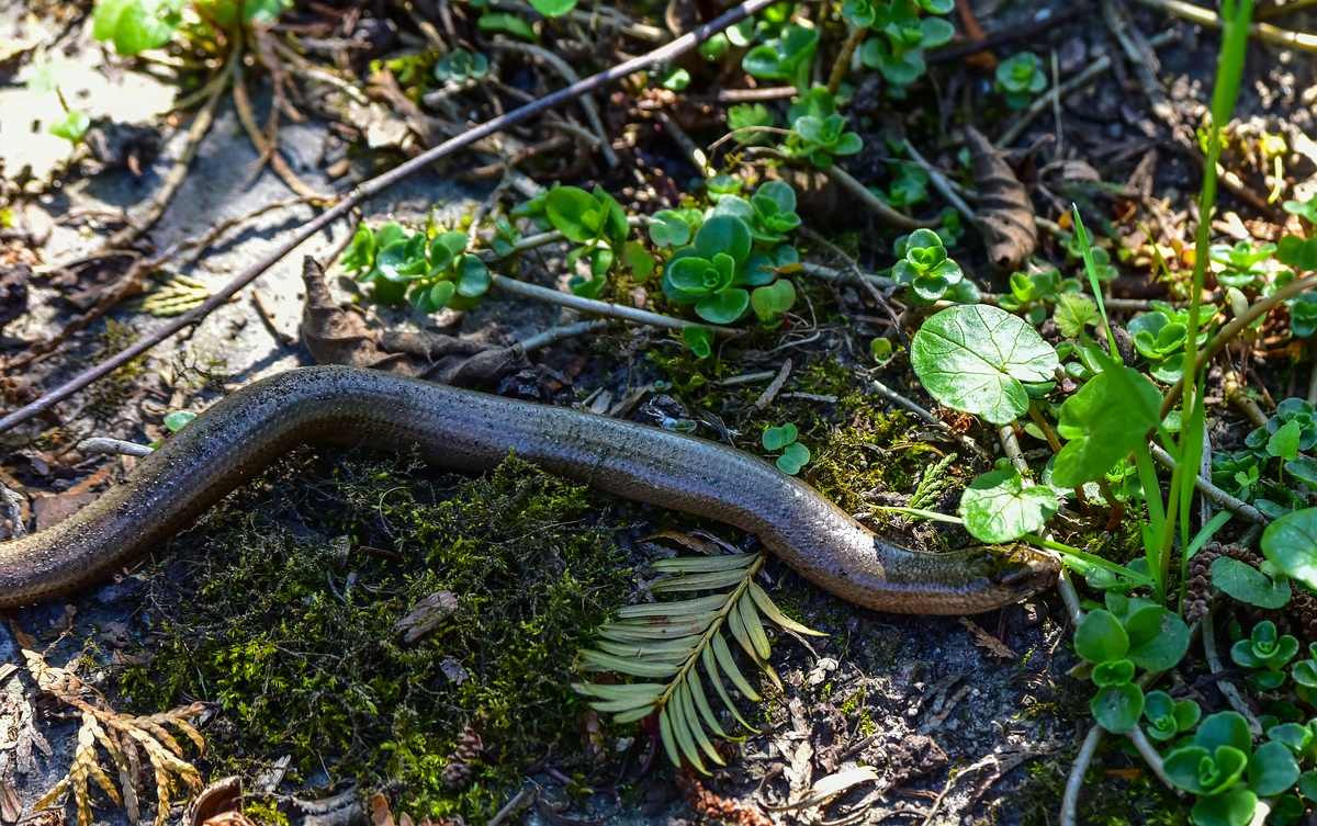 comp_DSC_5454.jpg