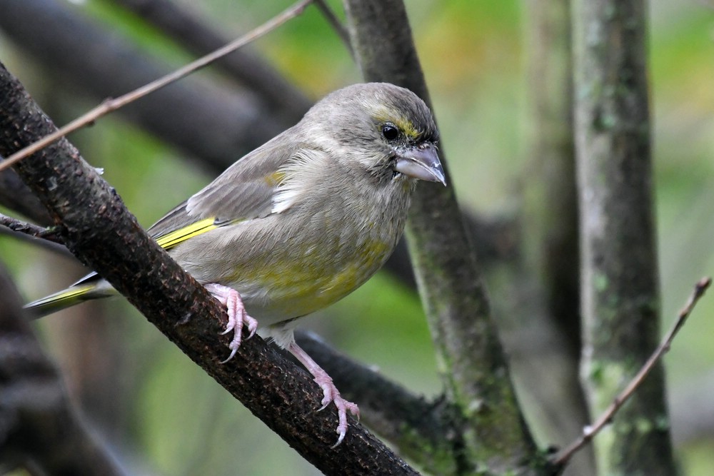 comp_DSC_5653.jpg