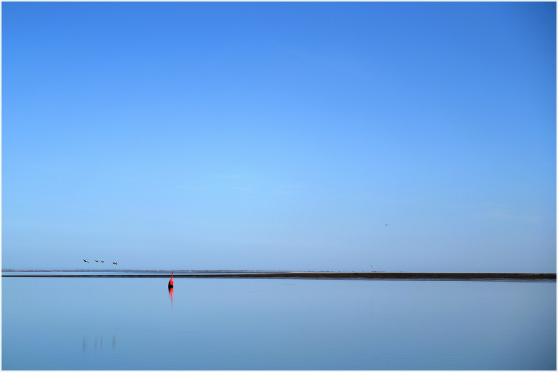 comp_DSC_7883_01.jpg