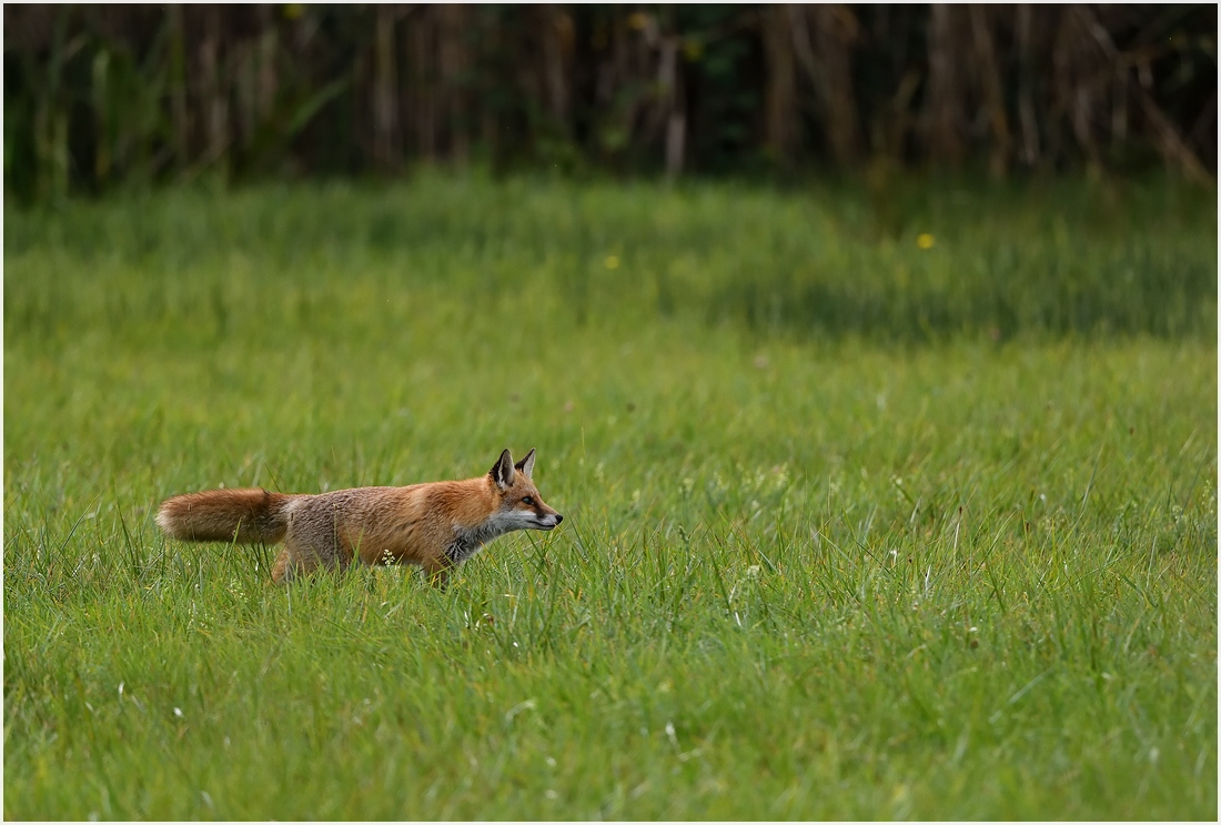 comp_DSC_8880.jpg