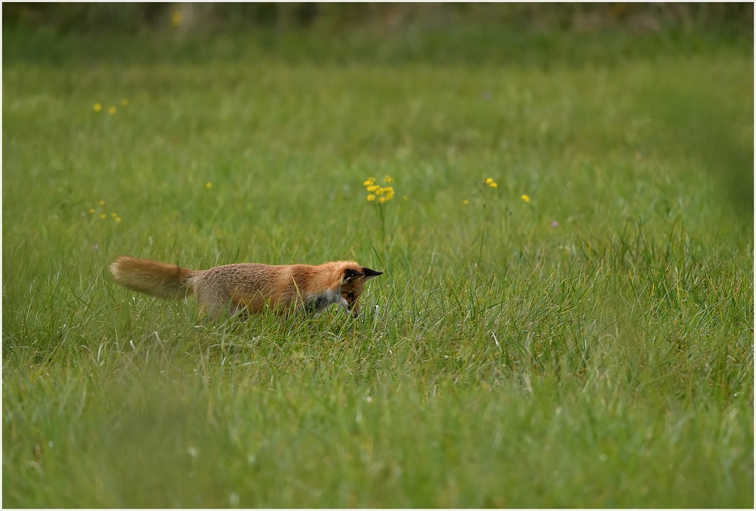 comp_DSC_8883.jpg