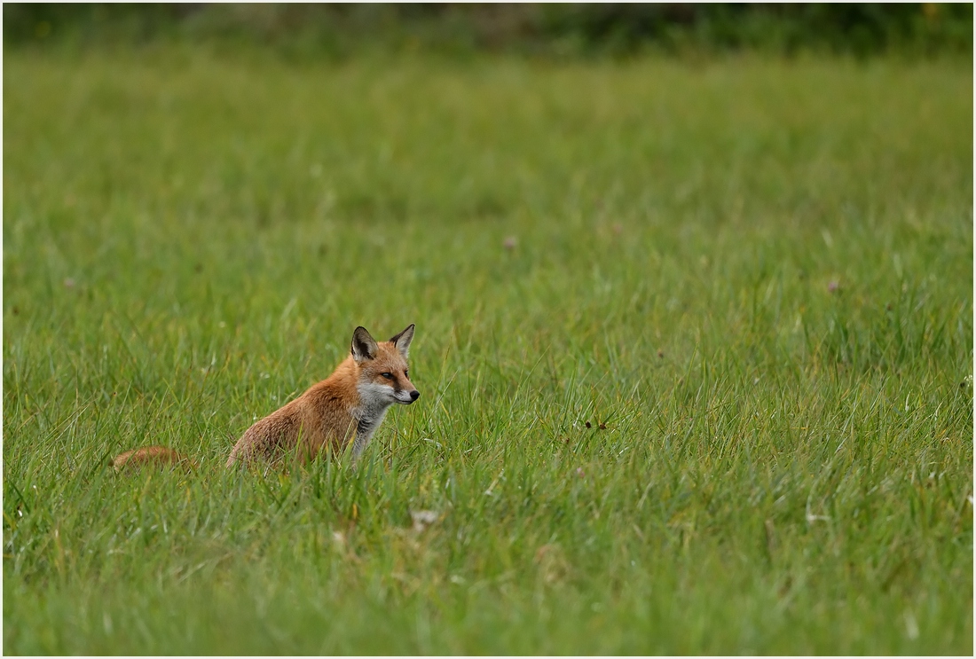 comp_DSC_8887.jpg