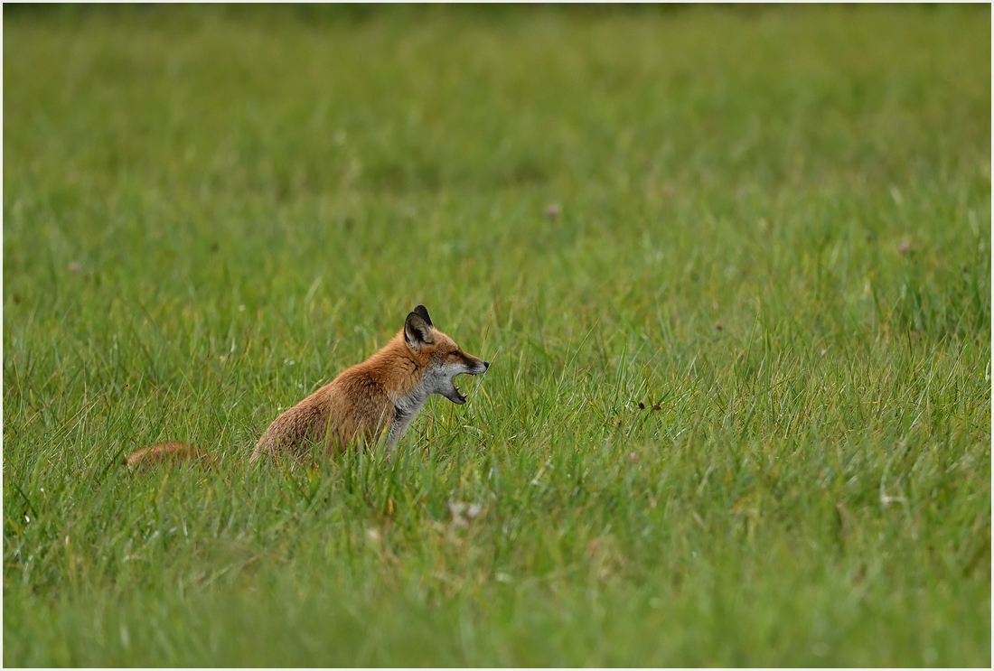 comp_DSC_8888.jpg