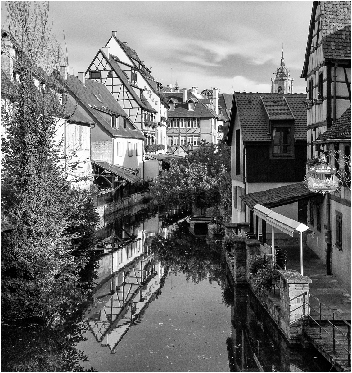 comp_Nikon-0450.jpg