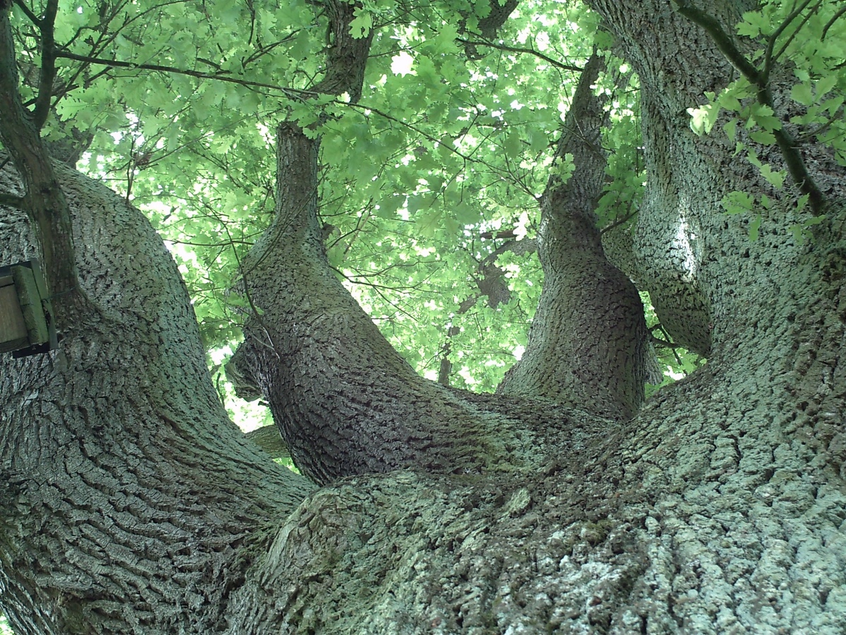 comp_PICT0006.jpg
