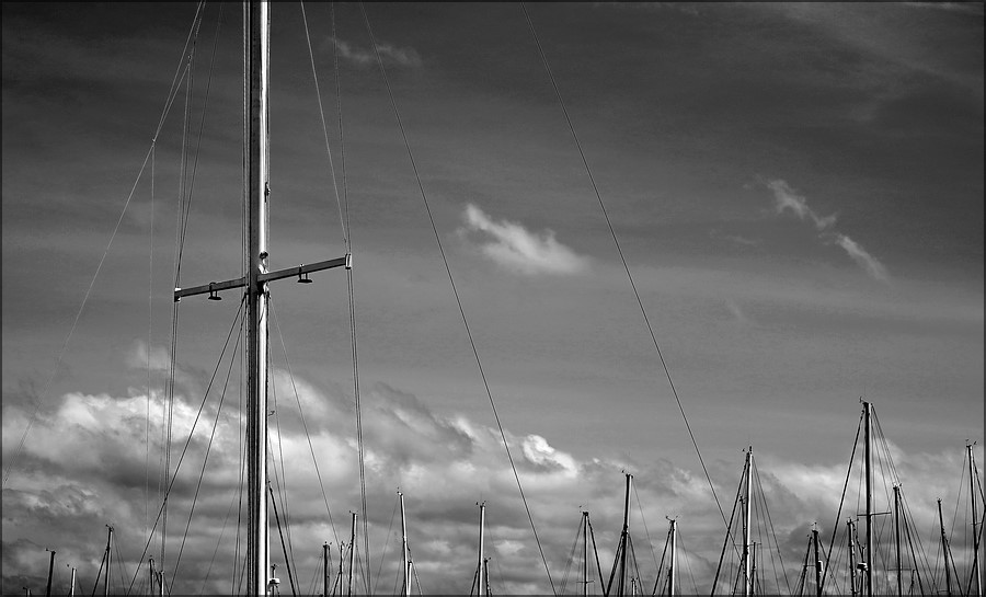 comp_Sailing-SW.jpg