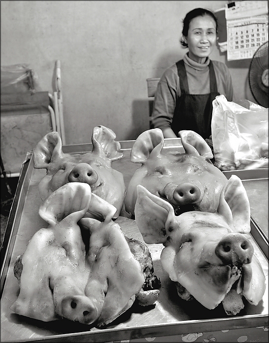 comp_Schweinegesichter.jpg