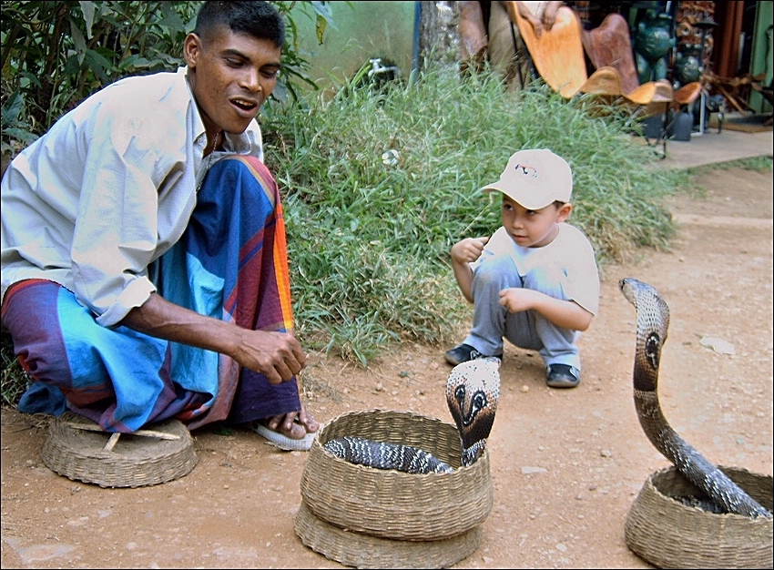 comp_srilanka1 083.jpg