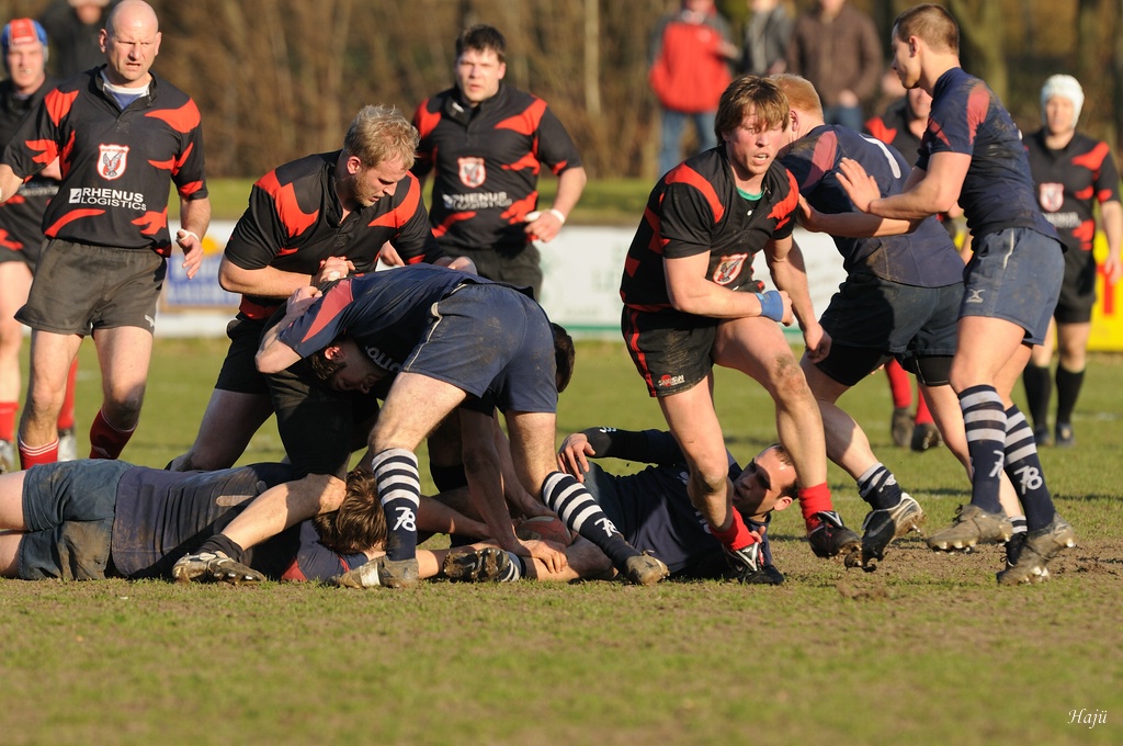 compaRugby 154 13
