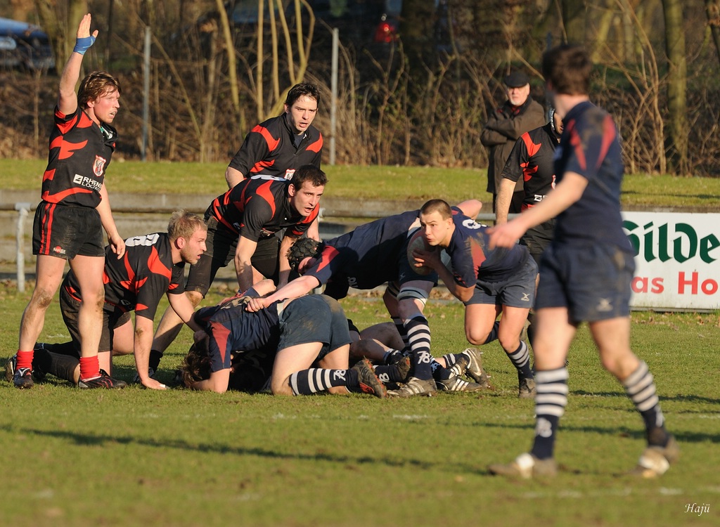 compaRugby 171 12