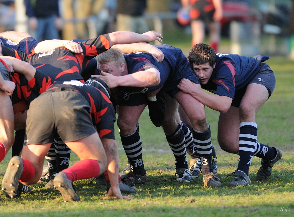compaRugby 215 8