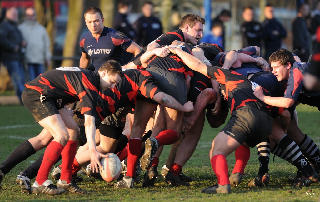 compaRugby 217 2