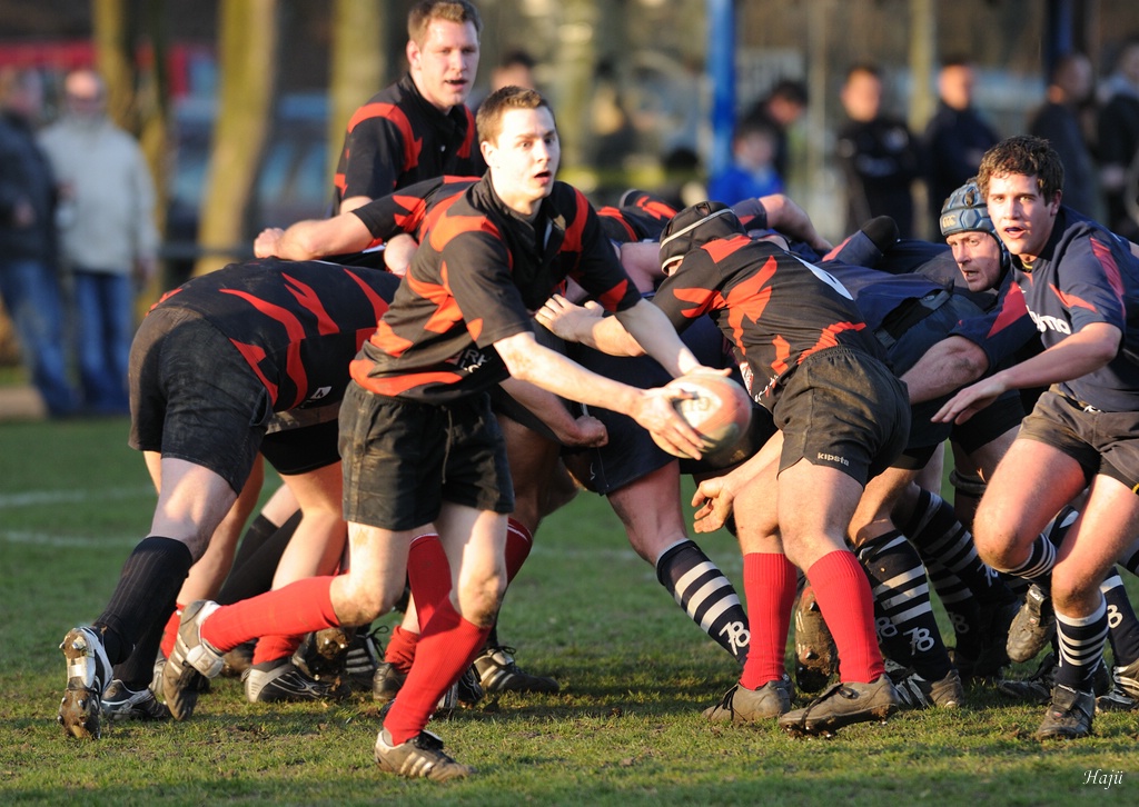 compaRugby 219 1