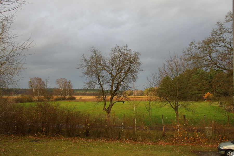 Compb 1Herbst