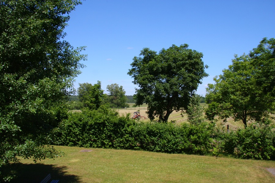 Compb 1Sommer