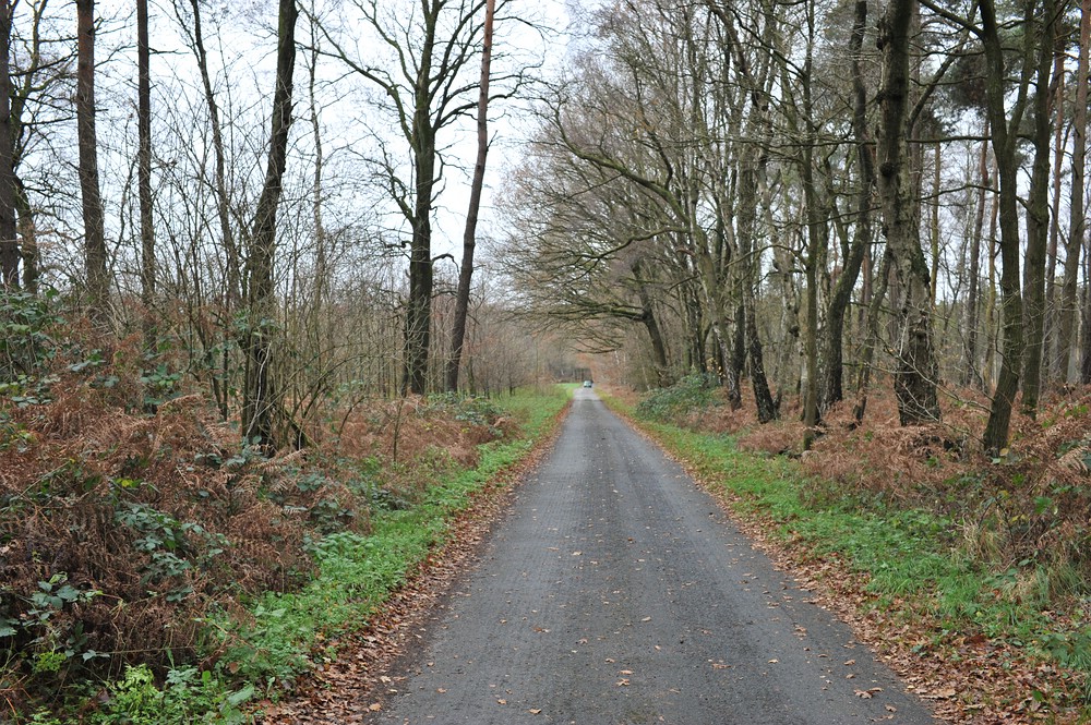 compDSC 3280