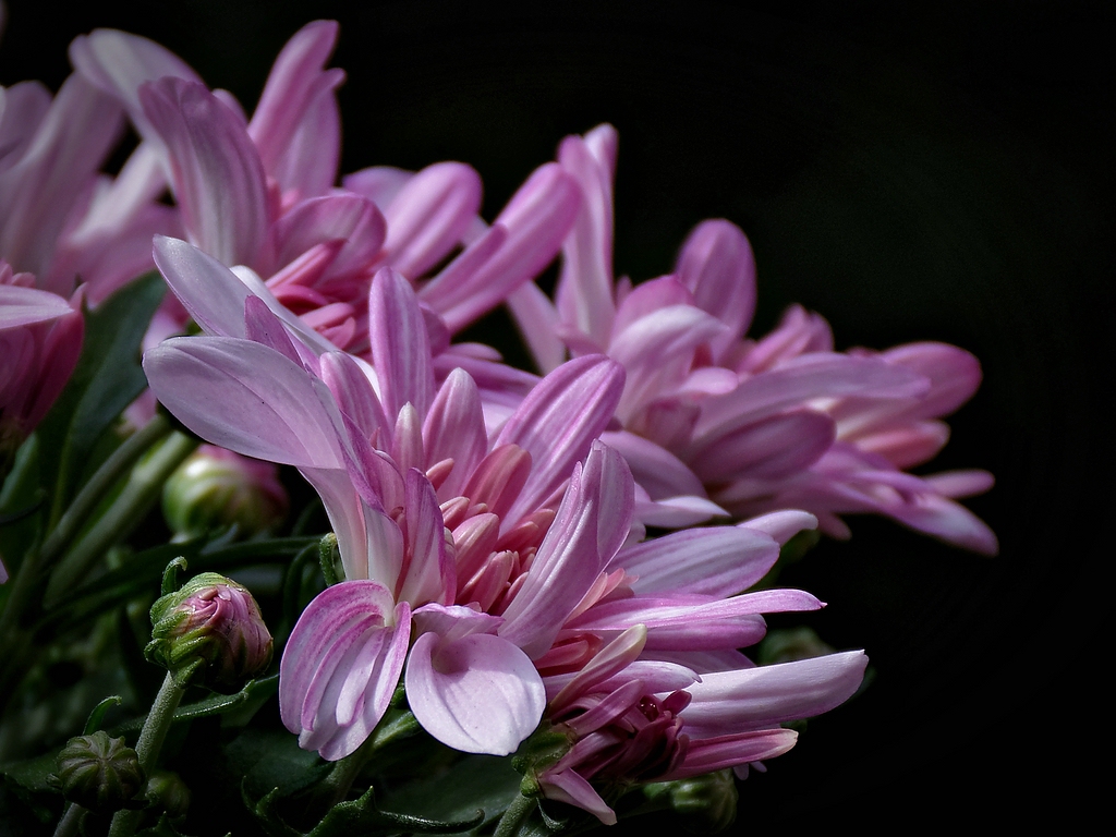 Compressed 0732