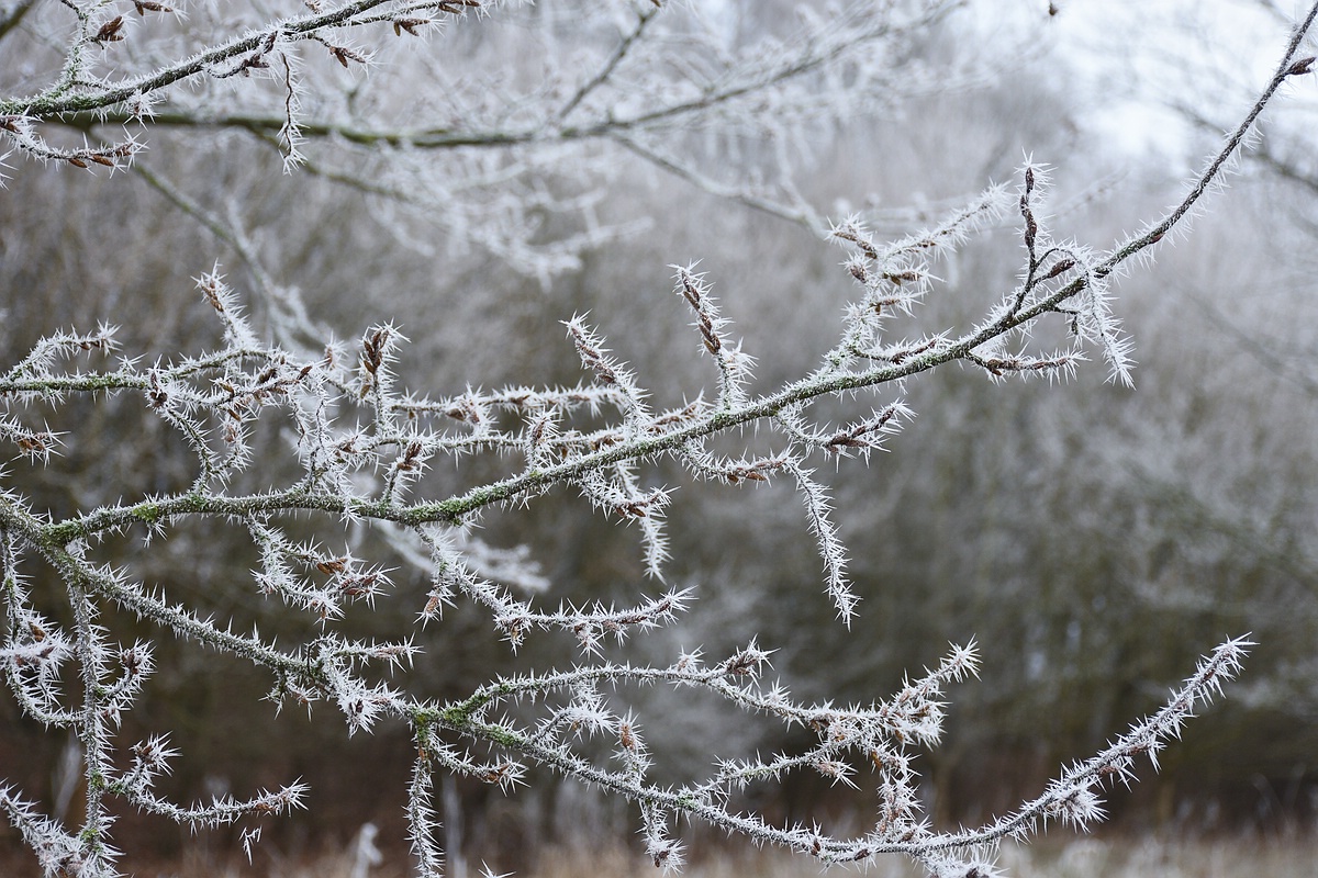Compressed 0928
